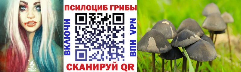 цены наркотик  omg сайт  Псилоцибиновые грибы Magic Shrooms  Верещагино 